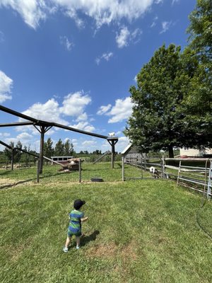 Homestead Farm by null