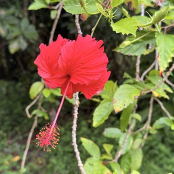 Hike Maui - Tours Near Me - Kahului, Hawaii Hike Maui - Tours Near Me - Kahului, Hawaii
