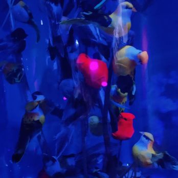 Meow Wolf - Venues & Event Spaces Near Me - Denver, Colorado