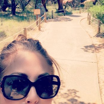 Dinosaur World - Museums Near Me - Glen Rose, Texas