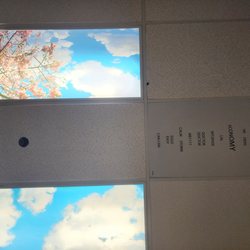 Eagle Creek Gentle Dentist - Ceiling art