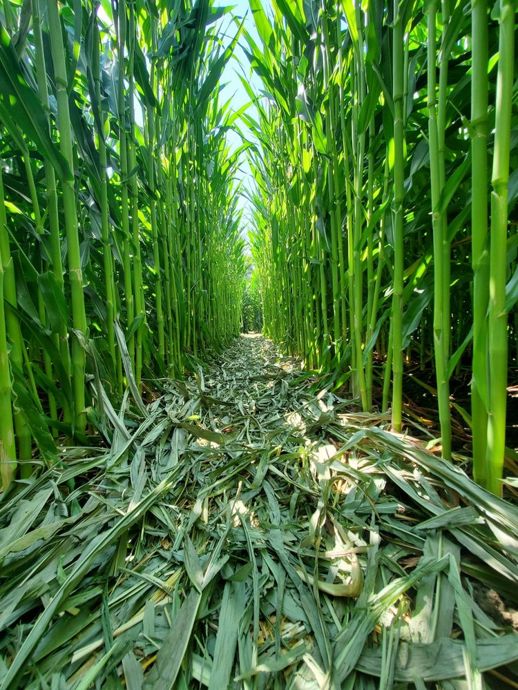 Tapia Bros, Encino Roadtrippers