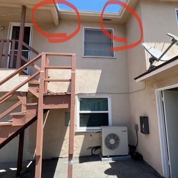 Bee Removal - Pest Control Near Me Bee Removal - Pest Control Near Me