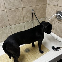 Pet self washing stations