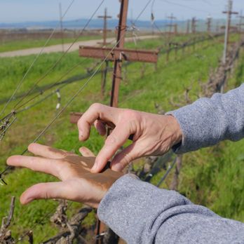 Ranchos De Ontiveros - Wine Tasting Room Near Me - Santa Maria, California