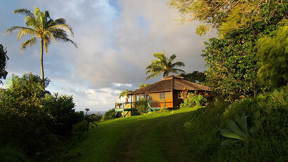 Anya's House