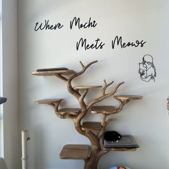 Mochi Kittos - Lovely Cat Tree - Desserts Near Me - Gardena, California