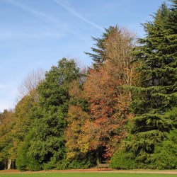 Le cimetière du Parc