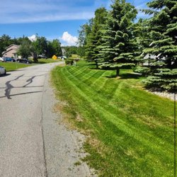 Golden Dog Lawns - Residential lawn care services