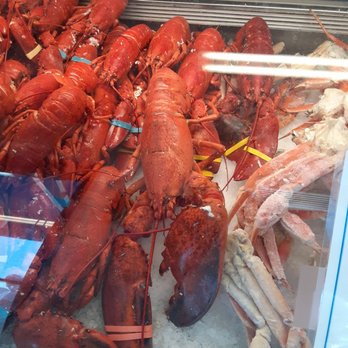 Bar Harbor Seafood - That's a big LobsStah! - Seafood Near Me - Orlando, Florida Bar Harbor Seafood - That's a big LobsStah! - Seafood Near Me - Orlando, Florida