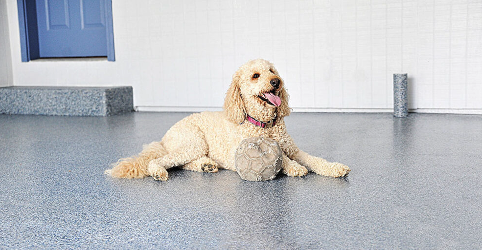 GARAGE FLOOR COATINGS OF HOUSTON 3839 Halik St, Pearland, TX Yelp