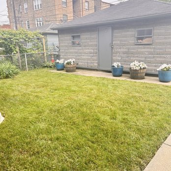 Mowers and Rakers - Backyard treated - Lawn Services Near Me - Chicago, Illinois Mowers and Rakers - Backyard treated - Lawn Services Near Me - Chicago, Illinois