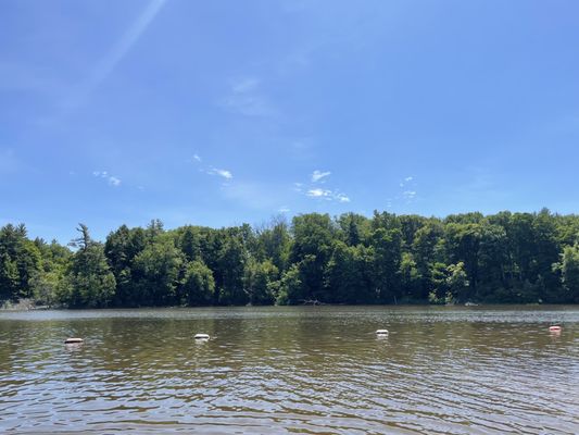 Christie Lake Conservation Area by null