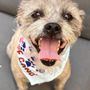 Woof Gang Bakery & Grooming