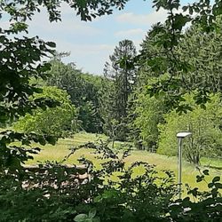 Landgasthof Schöne Aussicht