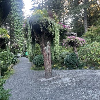 Glacier Gardens Rainforest Adventure - Upside down tree - Botanical Gardens Near Me - Juneau, Alaska