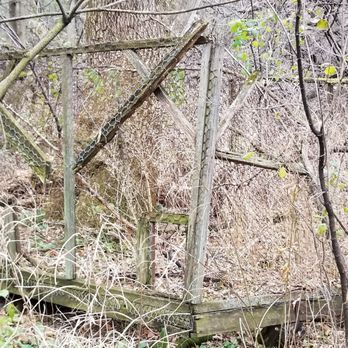 Highland Woods - Coops. - Parks Near Me - Mequon, Wisconsin Highland Woods - Coops. - Parks Near Me - Mequon, Wisconsin