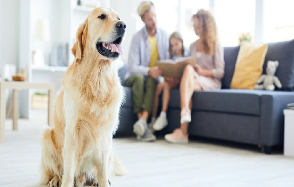 Peach State Air Testing - mold inspector in Marietta, GA