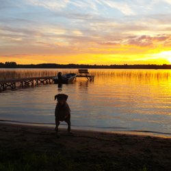 Even the dog days of summer have great sunsets!