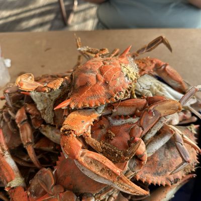 Mike's Crab House North by null