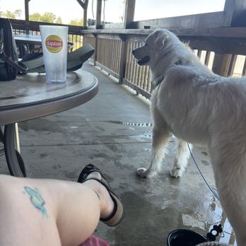 Los Roosters - Patio - Sports Bars Near Me - Bonnerdale, Arkansas Los Roosters - Patio - Sports Bars Near Me - Bonnerdale, Arkansas