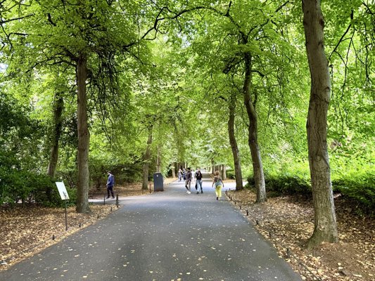 St Stephen's Green by null