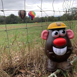 Pecan Hill Coffee Roasters - Mr. Bean at the Balloon Rides in Waukeenah.