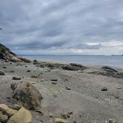 Larrabee State Park by null