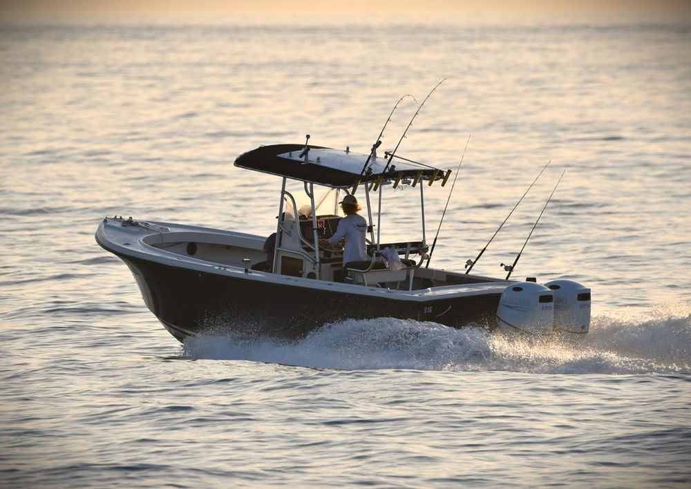 Highlife Fishing Charters Logo