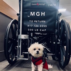 Massachusetts General Hospital - Dr Smallz MD is with me at MGH today...