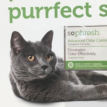 petco frontline plus cats