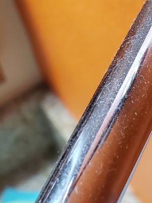 FLAMINGO WATERPARK RESORT - 181 Photos & 172 Reviews - 2261 E Irlo