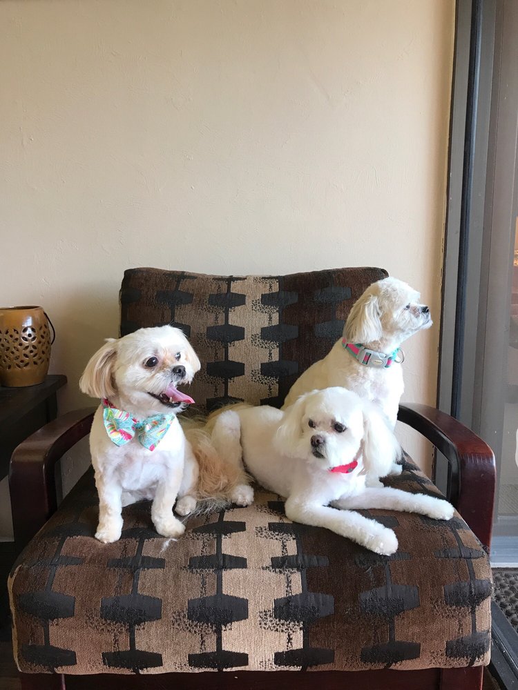 Grooming Gallery & Spa