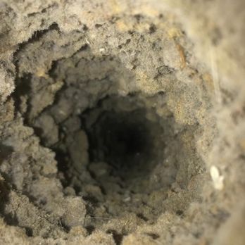 Power Ducts - Dryer vent hose - Air Duct Cleaning Near Me Power Ducts - Dryer vent hose - Air Duct Cleaning Near Me