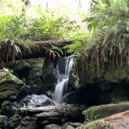Trillium Falls.