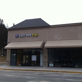 Lost Dog Cafe - Front - Pizza Near Me - McLean, Virginia Lost Dog Cafe - Front - Pizza Near Me - McLean, Virginia