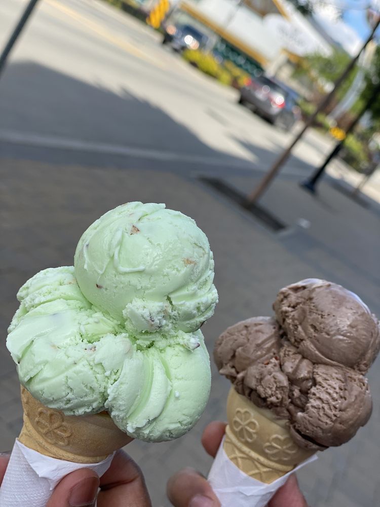 SCOOPZ ICE CREAM PARLOUR Updated April 2024 30 Photos & 11 Reviews