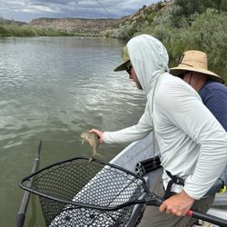 Down 2 Fish