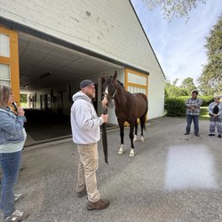 Claiborne Farm - War of Will. 2019 Preakness Stakes winner.