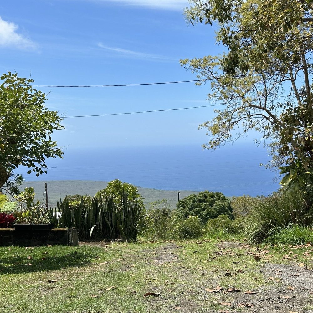 Hala Tree Coffee - Attraction Farms Near Me - Captain Cook, Hawaii Hala Tree Coffee - Attraction Farms Near Me - Captain Cook, Hawaii