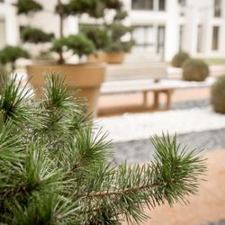 Lyon Appart Hotel - Jardins prives