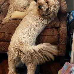 Critter Care Animal Hospital
