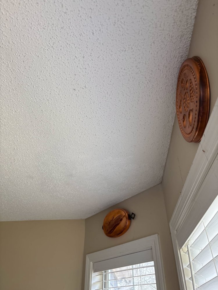 Slide of House Finch