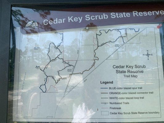 Cedar Key Scrub State Reserve by null