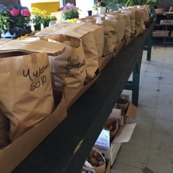 Ripley Fruit Market - Large variety of planting potatoes