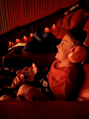 Marcus Oakdale Cinema by null