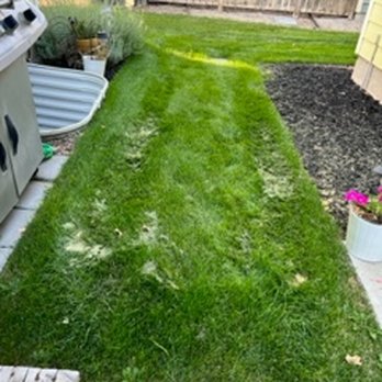 BrightView - Landscape Architects or Designers Near Me - Gardena, California
