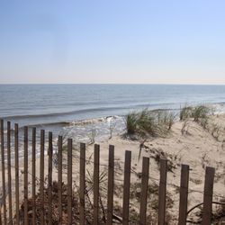 Pickering Beach