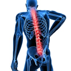 Ed Beesley Chiropractor