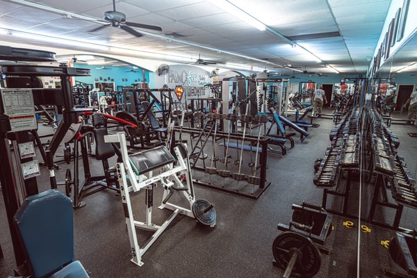 The Body Factory Health & Fitness Center by null